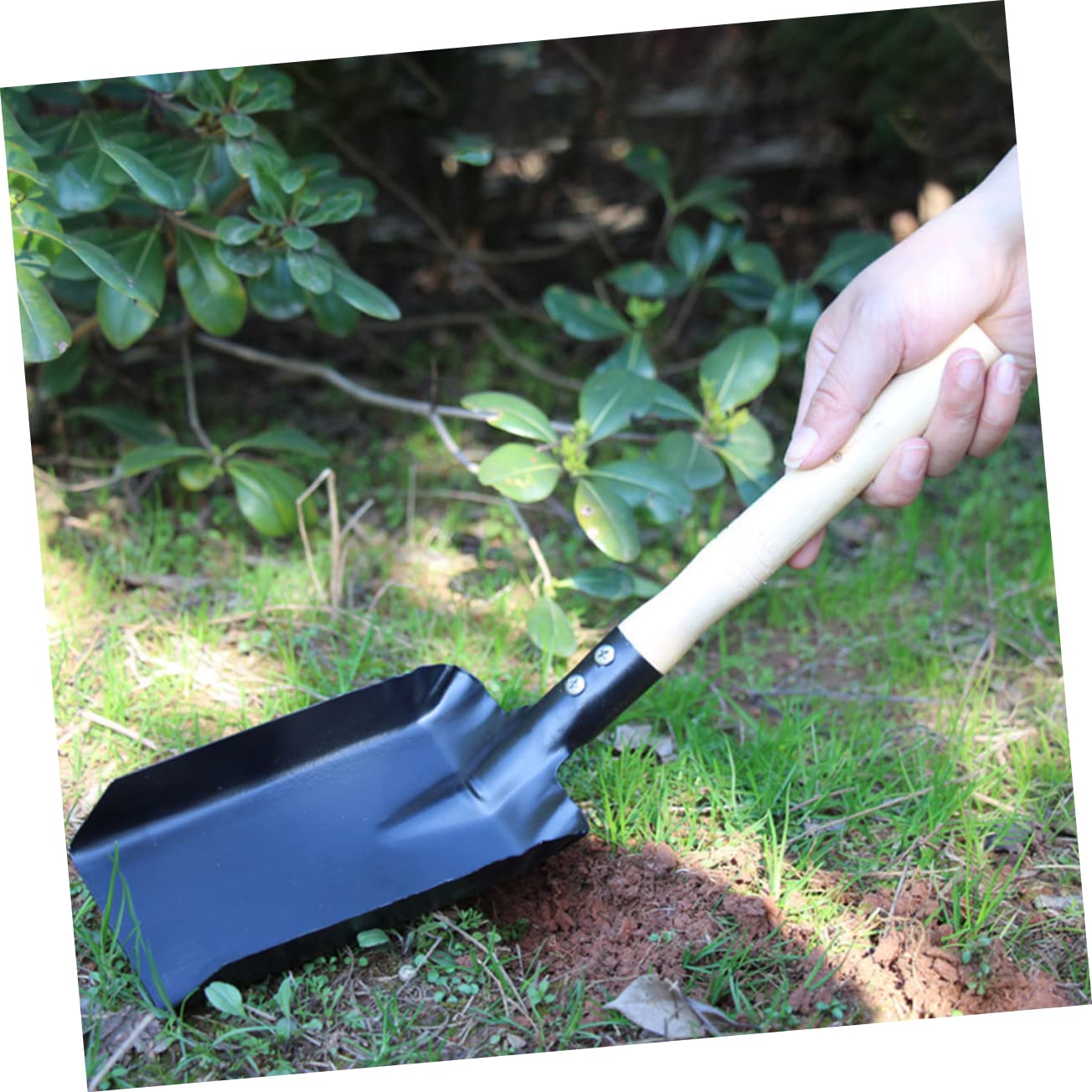 Cabilock 5piezas Pala De Jardín Multifuncional De Herramienta De Trasplante Ligera y Portátil Para Interiores y Exteriores Jardinería y Eliminación De Malezas