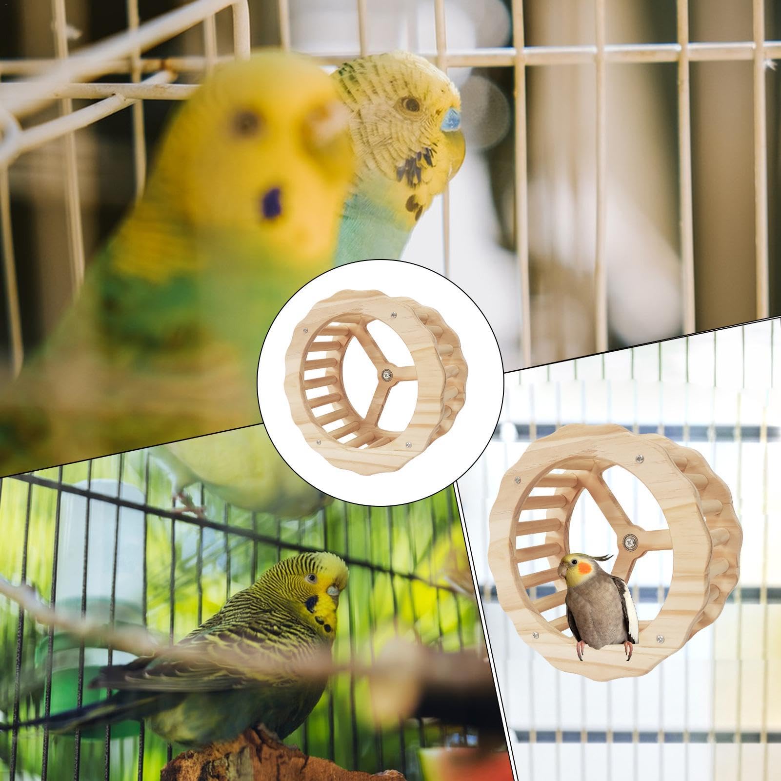 Durabilité Oiseau Spinner Roue Coloré Jouet Calopsitte Conure