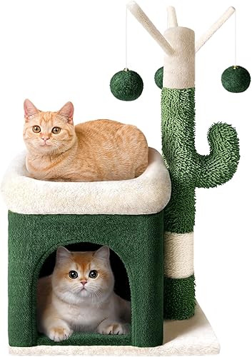 Árbol de cactus para gatos de interior, torre pequeña para gatos de 30 pulgadas con poste rascador verde, condominio acogedor, perchas de felpa y