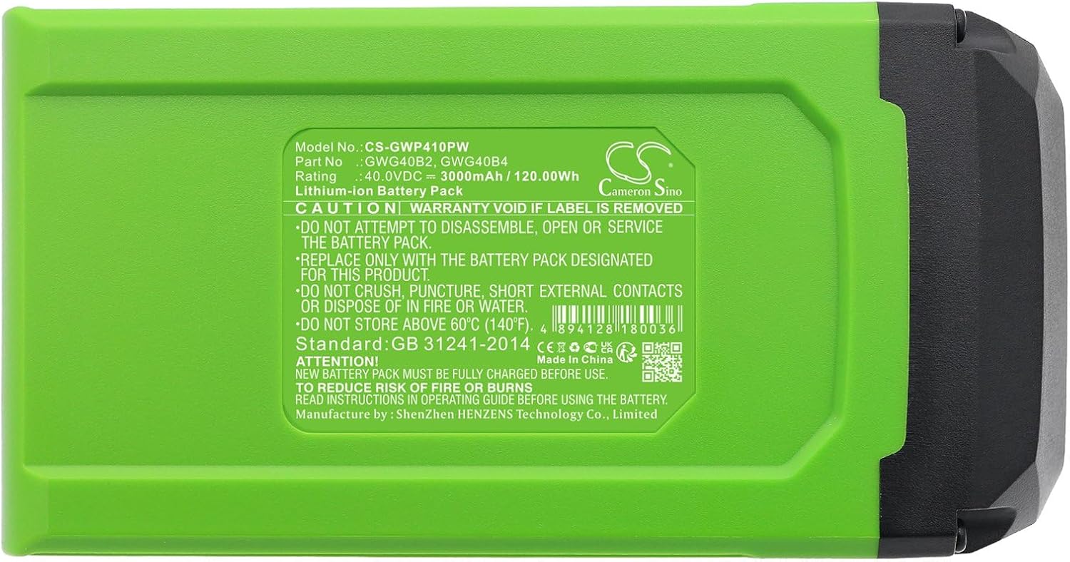 真作保証 ハンス・イヌメ 希少肉筆 板に水彩 額装 作品集・ポスト