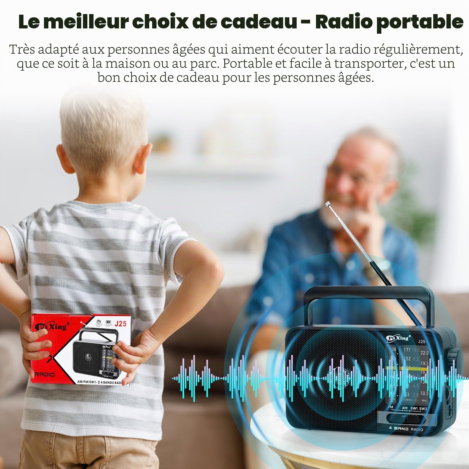 Portable FM AM Radio, réseau et Batterie Radio pour à la Maison ou en Plein air, Petite Poche avec Excellente réception, pour Les Personnes âgées, Facile à Utiliser, Noir