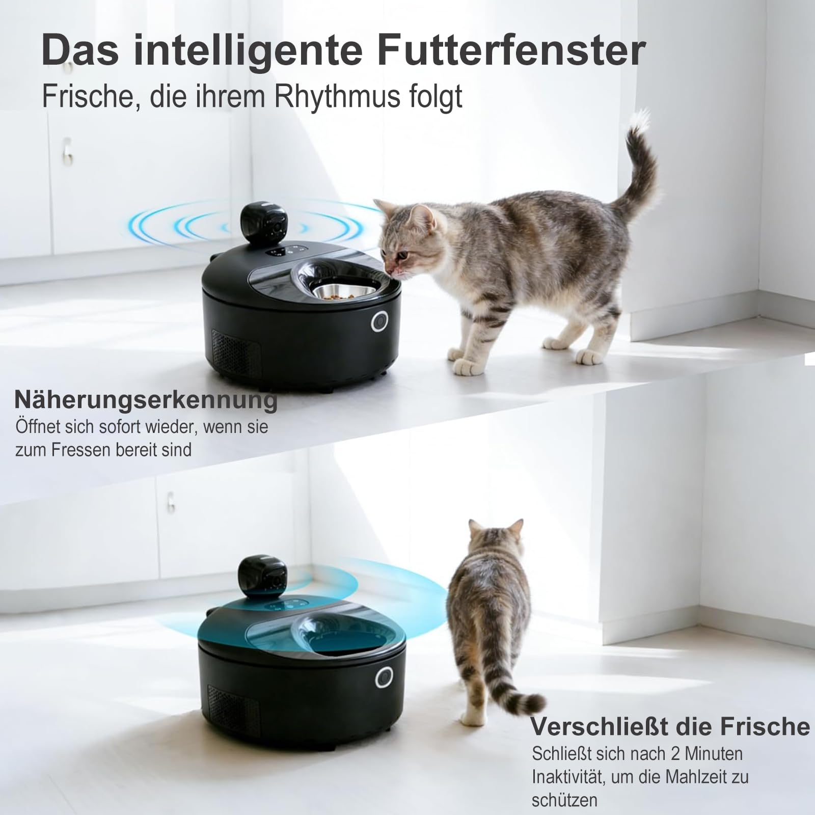 Automatischer Katzenfutterspender für Nassfutter, Überwachter 2-in-1 Kühlfutterautomat mit Halbleiterkühlung, App-gesteuert, Einfach zu Reinigen, 5 Frische Mahlzeiten (Weiß)