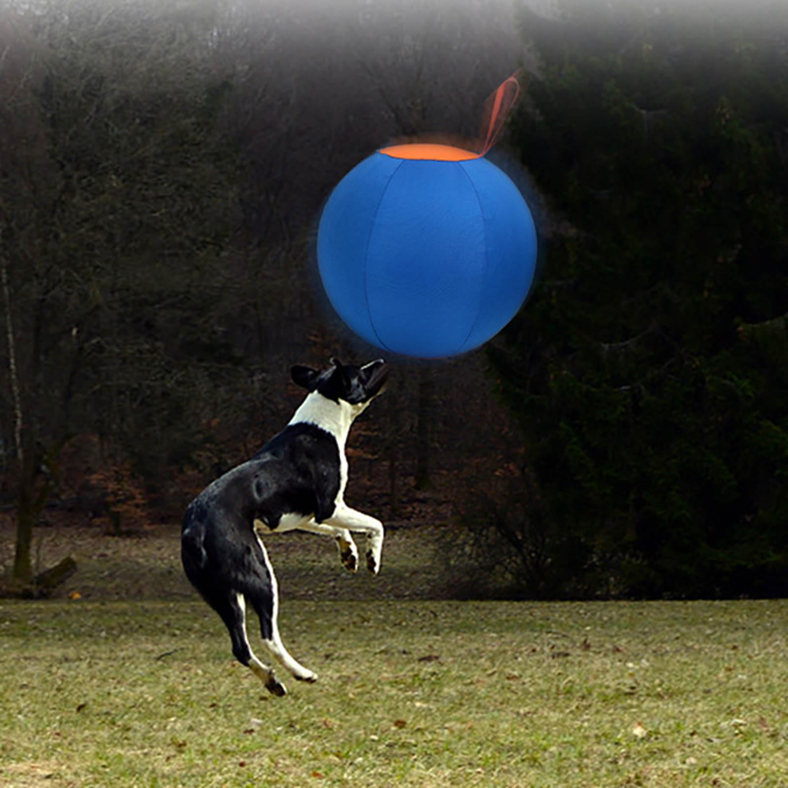 HUANGANG Hundespielzeug Körperliche Aktivität Outdoor Aufblasbares Spielzeug Spielzeug Haustier Mund Training Spielzeug