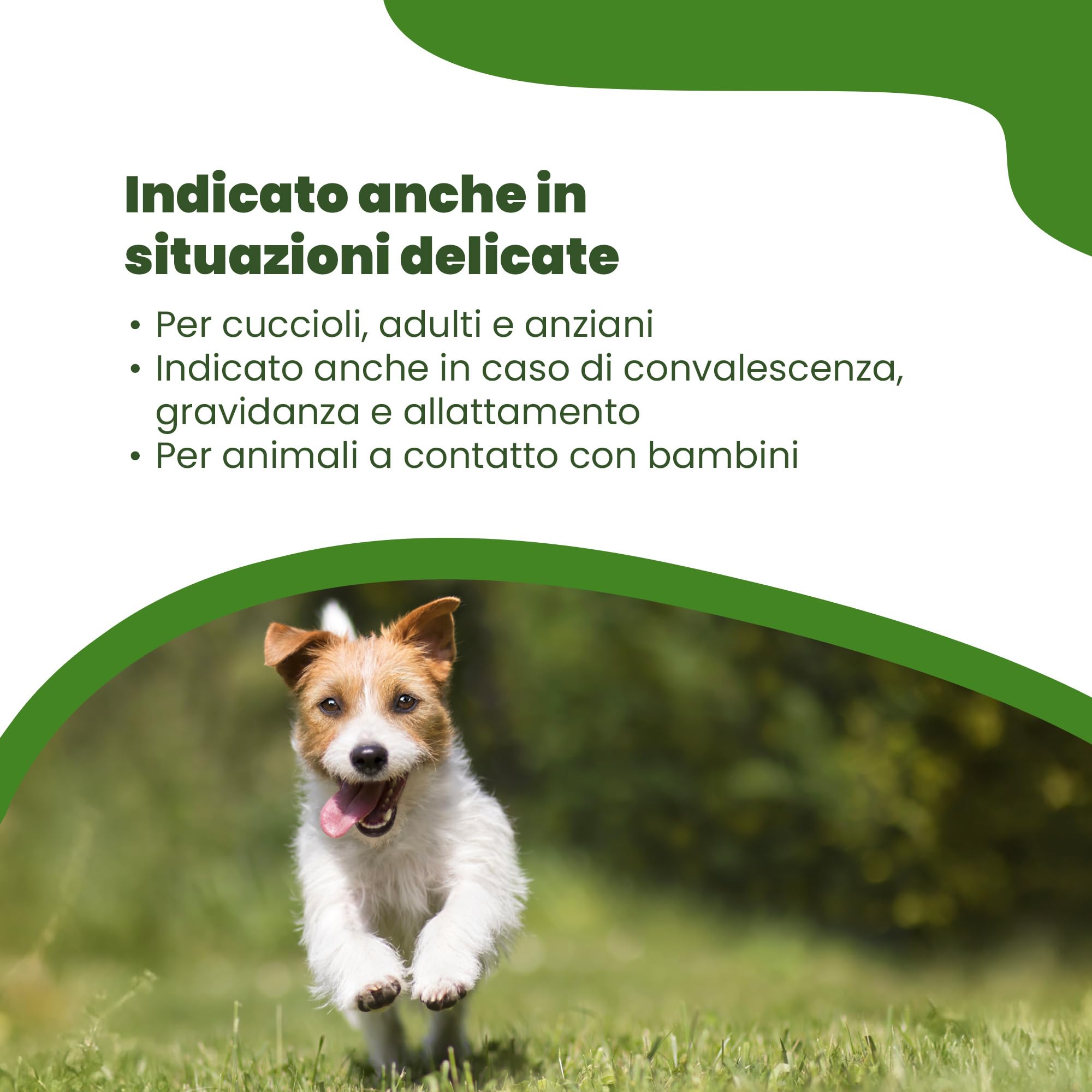 CAMON | Spot-On Protection Cane (0-10kg), 5 Fiale da 3ml con Olio di Neem, Naturale e Efficace