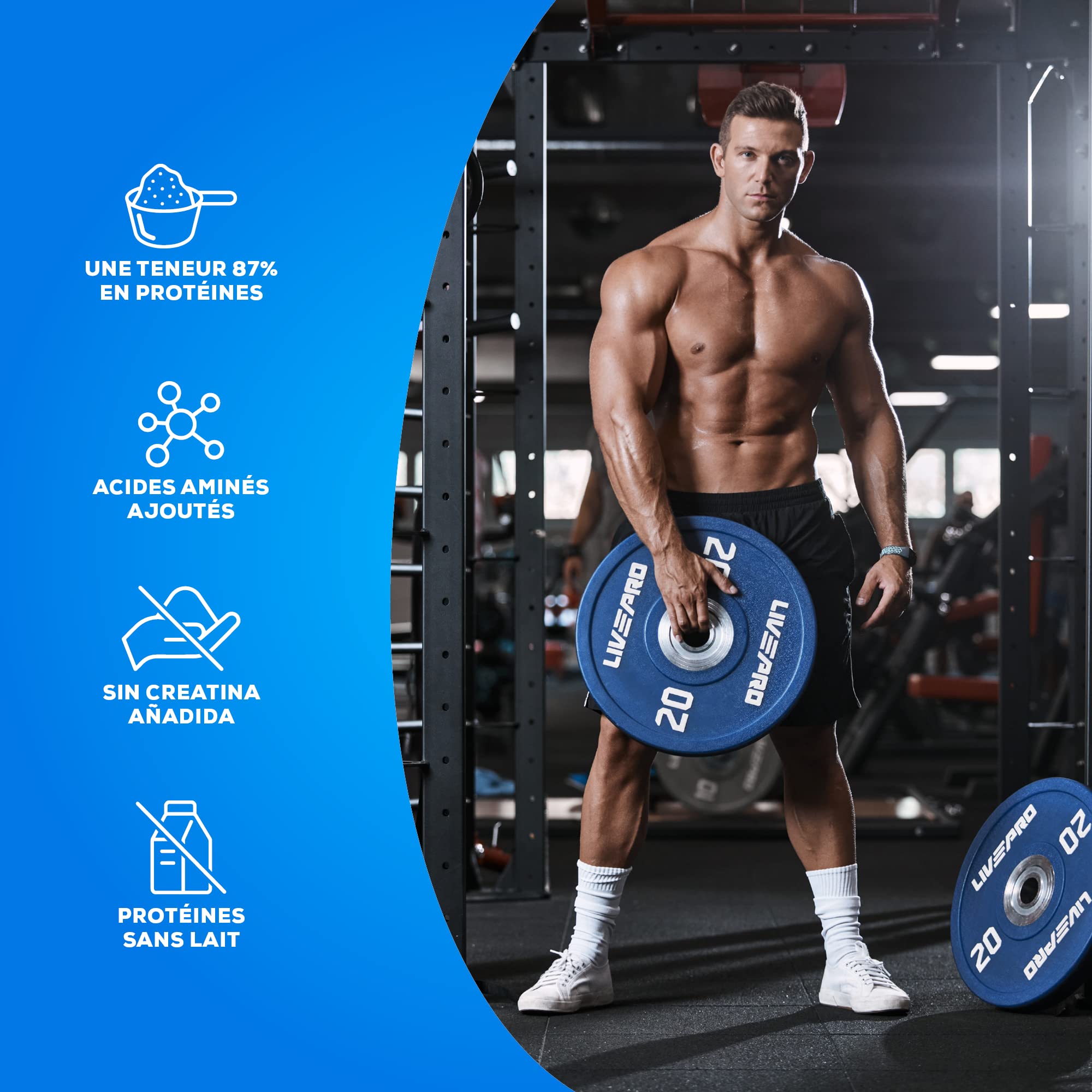 BioTechUSA Beef Protein, Formule à base de peptides de protéines hydrolysées à 87%, sans lactose ni gluten, pauvre en graisses, sans sucre, adaptée au régime paléo, 500 g, Chocolat-Coco