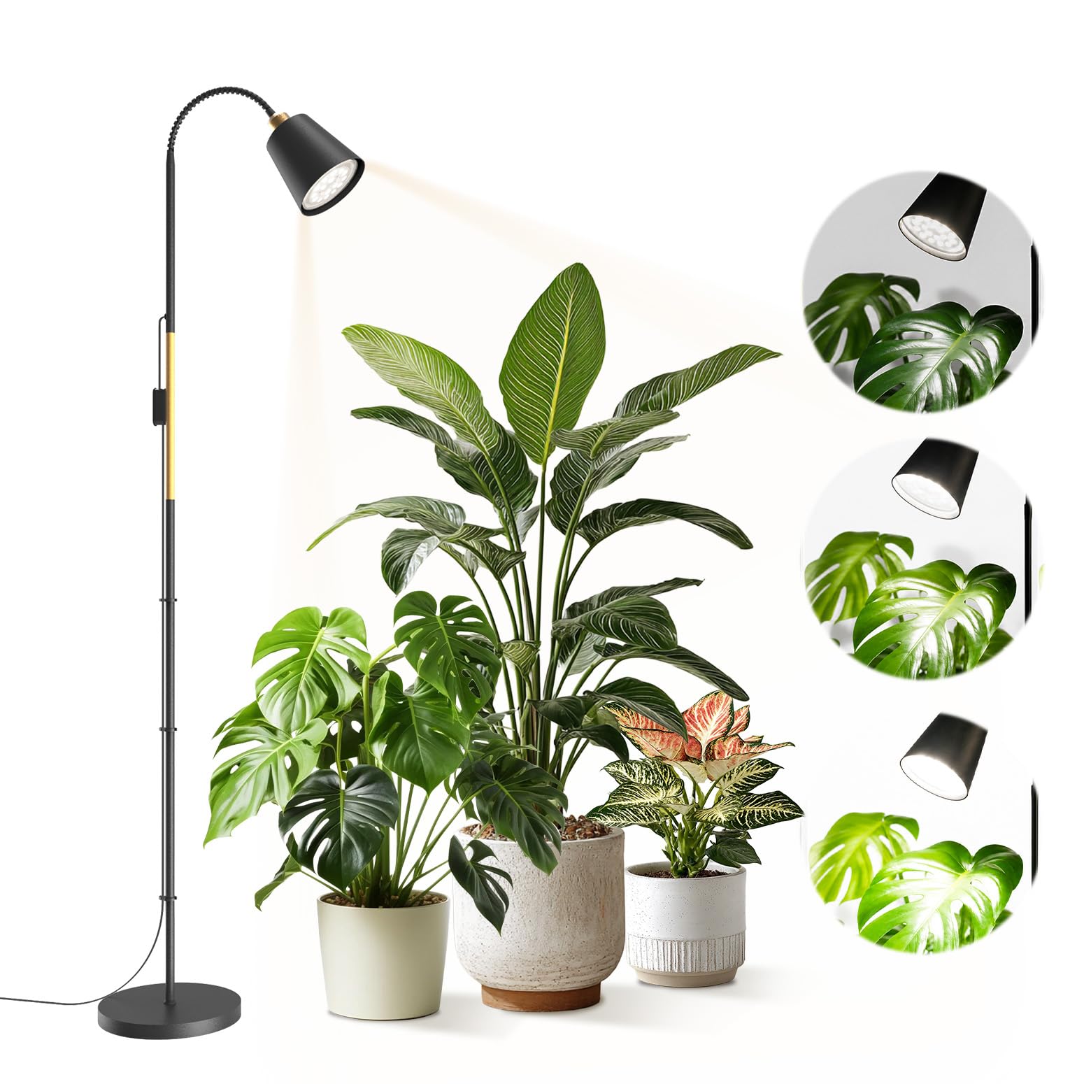 Bstrip F11D Standing Grow Light, 65" Dimmable Plant Light for Indoor Plants