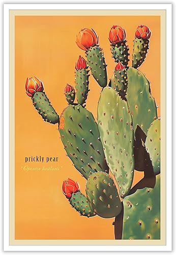 Pósteres vintage de cactus, paisaje retro del desierto, arte de pared, bajo el sol, tropical, botánico, floral, impresiones estéticas, pintura para