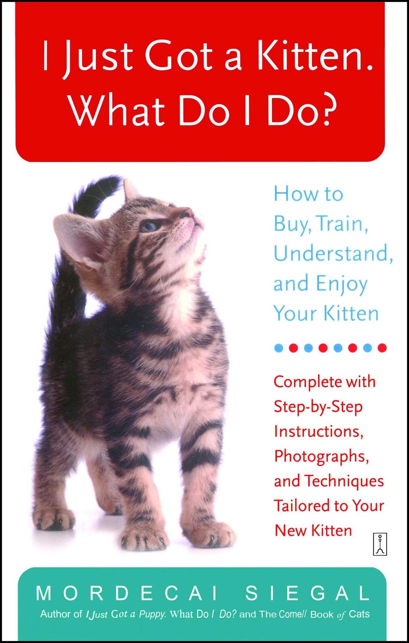 Kitten Care and Training Starter Handbook