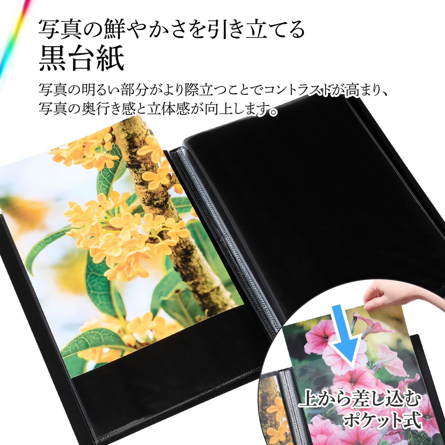 Amazon | ハクバ (HAKUBA) 大判プリント用アルバム プロフェッショナル