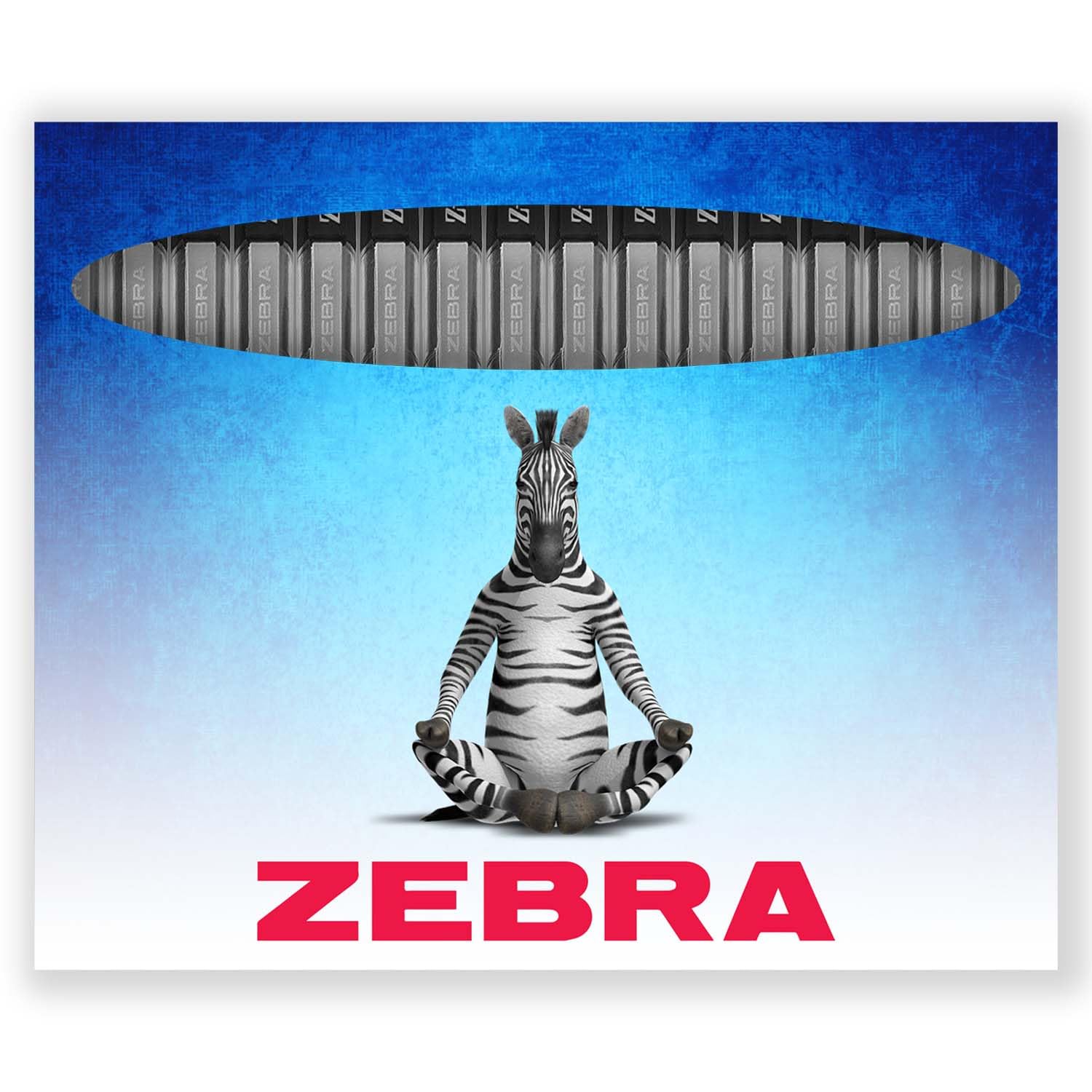 Zebra Pen Z-Grip Retractable Ballpoint Pens, 1.0mm Nib, Pack of 16, In Envelope Gift Packaging, School, Writing, Work - Image 2
