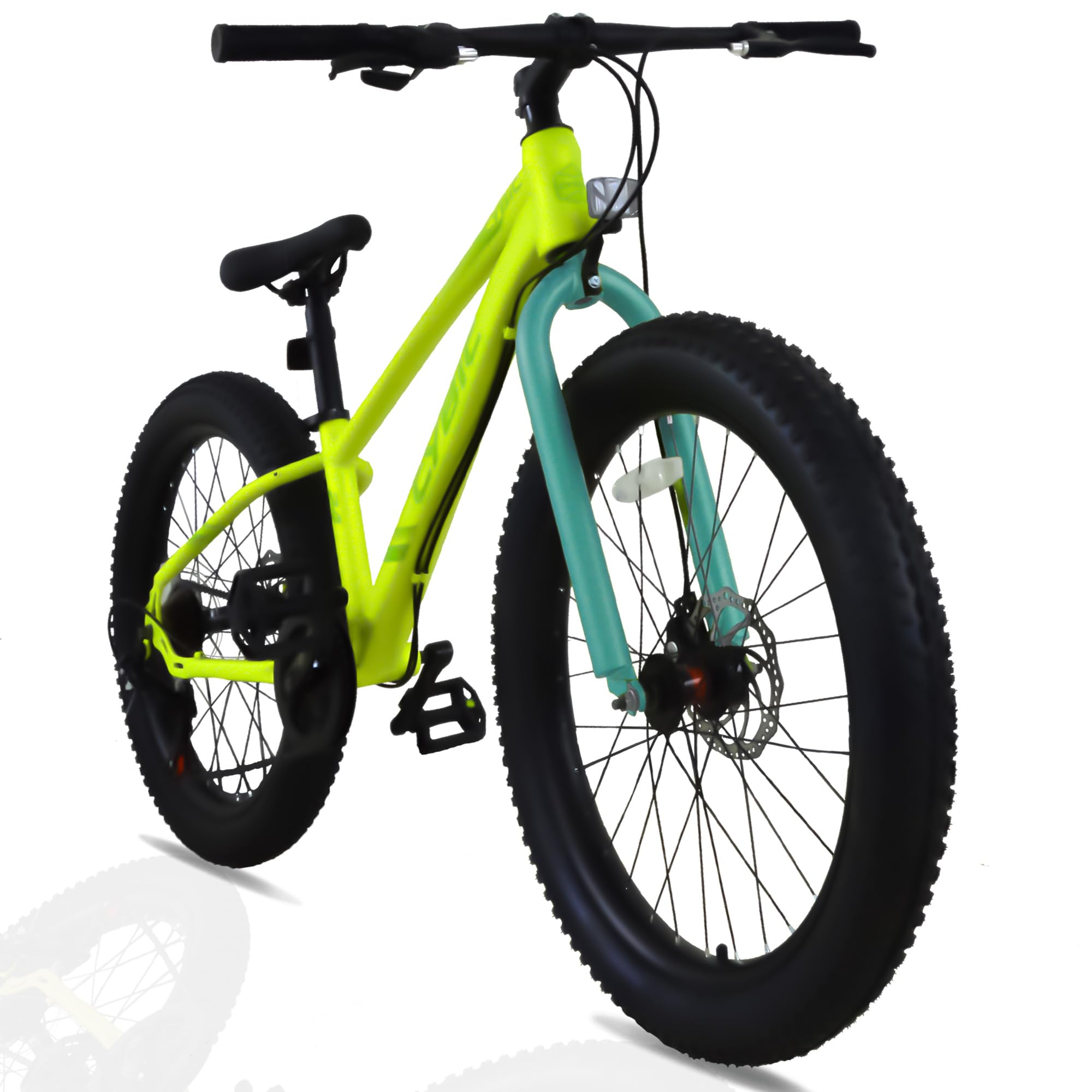 Fat Tire Mountain Bike 24 inch, 7 Speeds, with High Carbon Steel Frame, Double Disc Brake Fat Tire Bicycle (Yellow-Green)