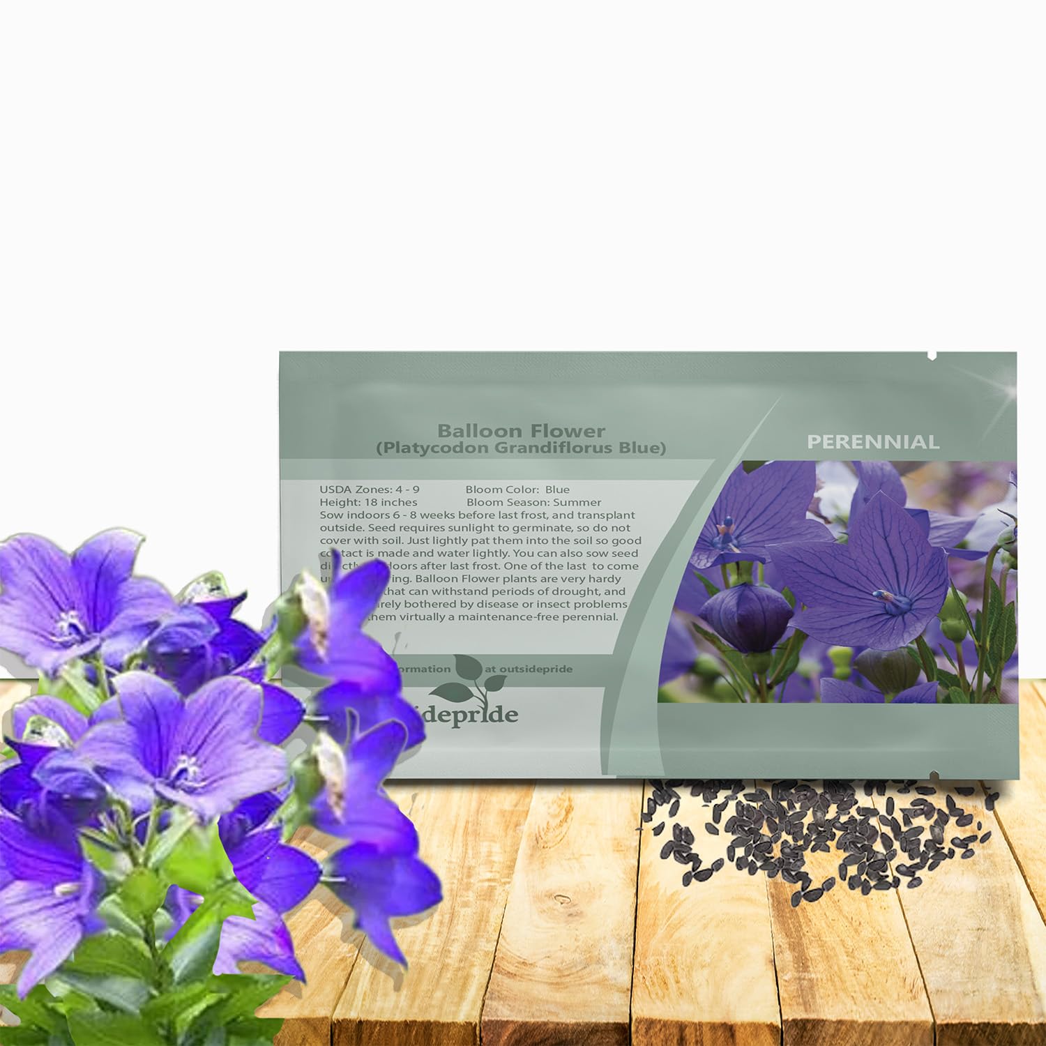 Amazon.com : Outsidepride Blue Balloon Flower Seeds for Planting