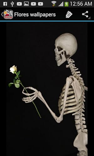 Flores para todos