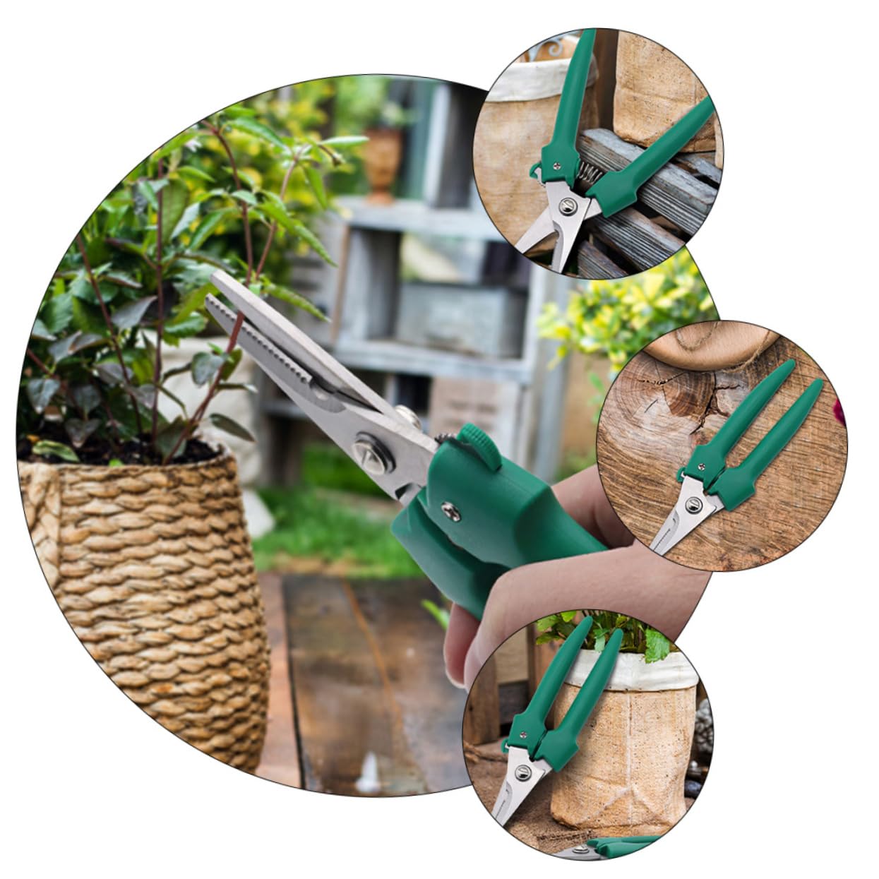 Toddmomy 3pezzi Cesoia Giardinaggio Inossidabile Antiscivolo Utensile Per Potatura e Garantita Per Potatura e