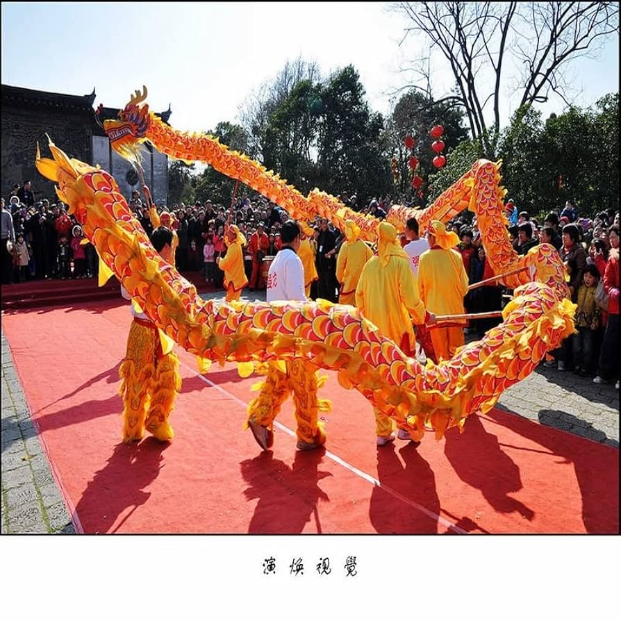 Chinese Lion Dance 10m Silk Dragon Dance Costume for 8