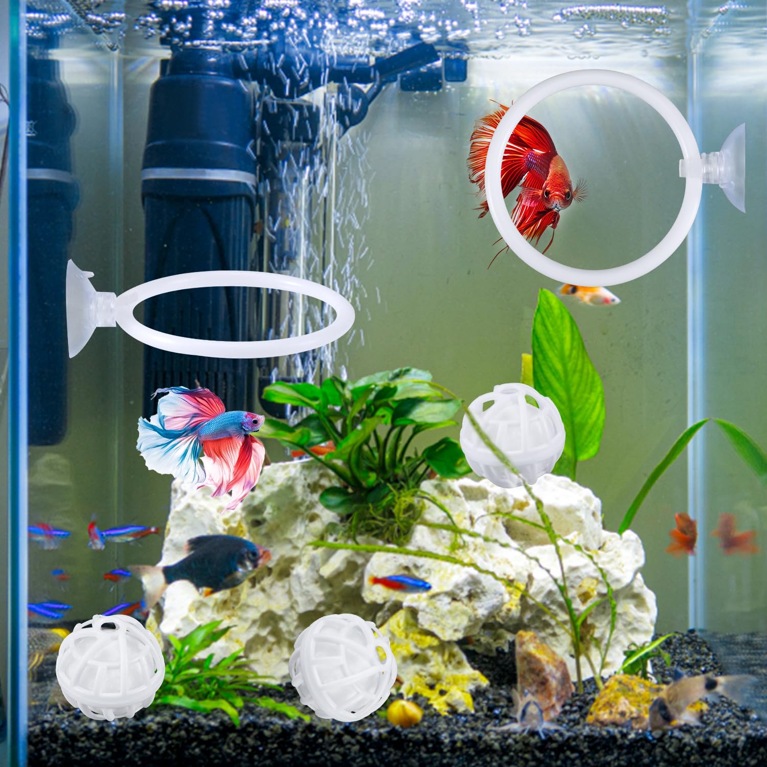 2pcs Betta Fish Exercise Ring and Filter Balls Set - Image 3