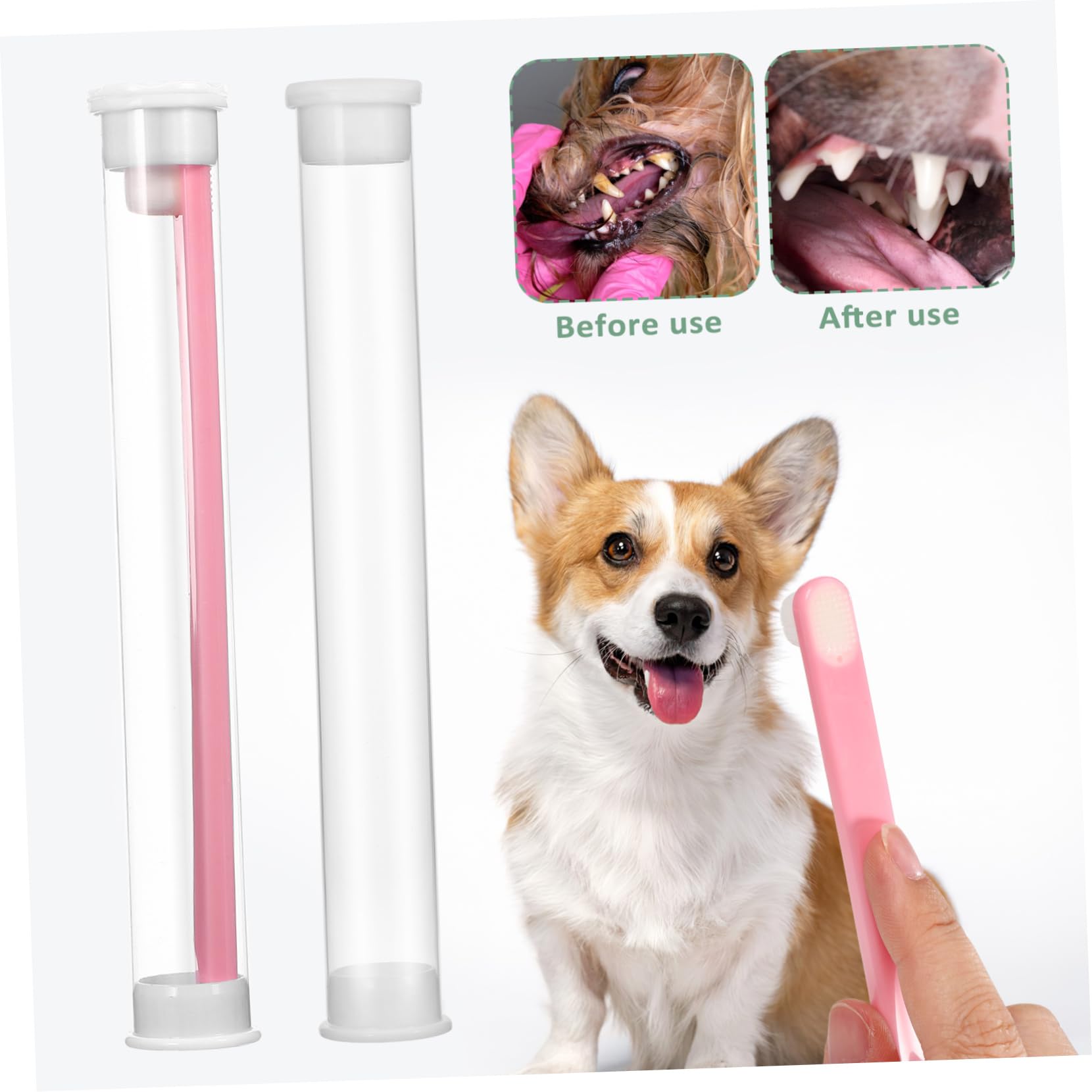 Sosoport 15pièces Kit De Brosses à Dents pour Chiens Et avec Poils Souples Brossettes -tête pour Soins Dentaires Animaux De Compagnie