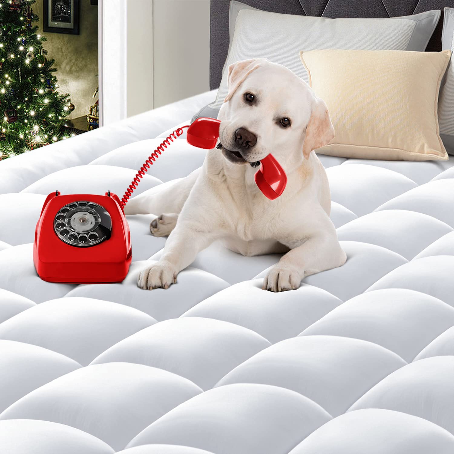 Queen Cooling Mattress Pad Quilted Bed Mattress Topper Elastic Fitted Mattress Protector Pillow Top Mattress Cover with 8"-21" Deep Pocket