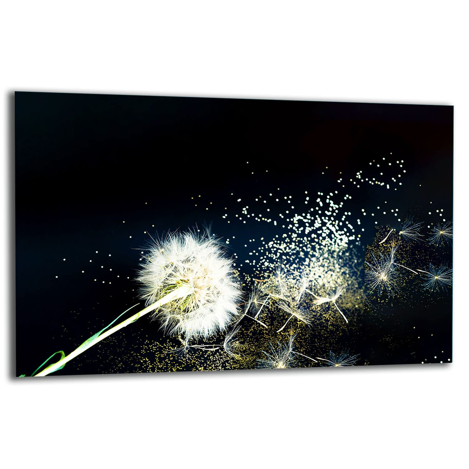 Piastra di copertura per fornelli, 80 x 52 cm, pezzo unico in