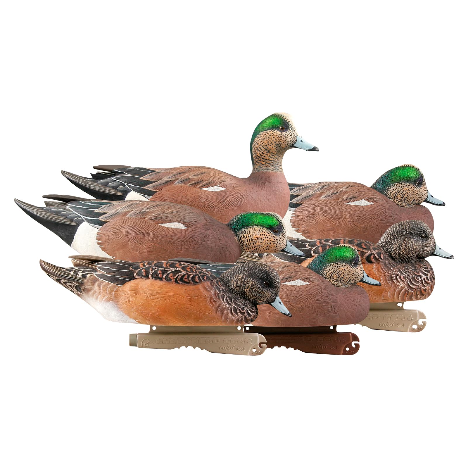 Avery GHG Pro-Grade Wigeon Decoys, 6-Pack | Realistic Durable Waterfowl Hunting Floating Duck Decoys with 60/40 Forward Weighted Swim Keel | Rester/Surface Feeder/High Head Postures (73143)