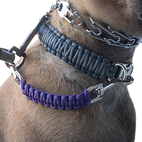 Miniatura 1 de Dog Collar Safety Leash for Prong Collar Back Up Strap Clip (Black)