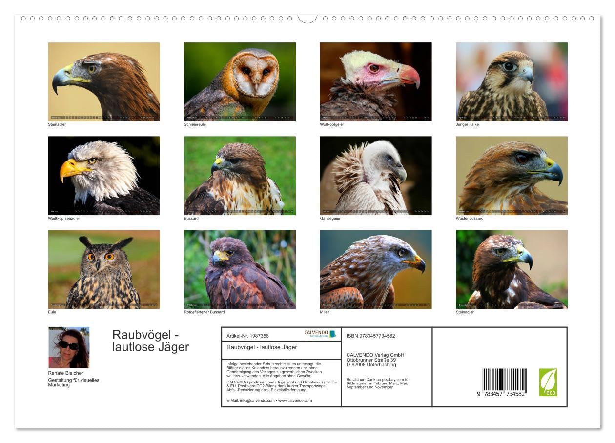 Raubvögel - lautlose Jäger (hochwertiger Premium Wandkalender 2026 DIN A2 quer), Kunstdruck in Hochglanz: Faszinierende Portraits von Greifvögeln und Eulen (CALVENDO Tiere)