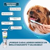 Ver la foto 3