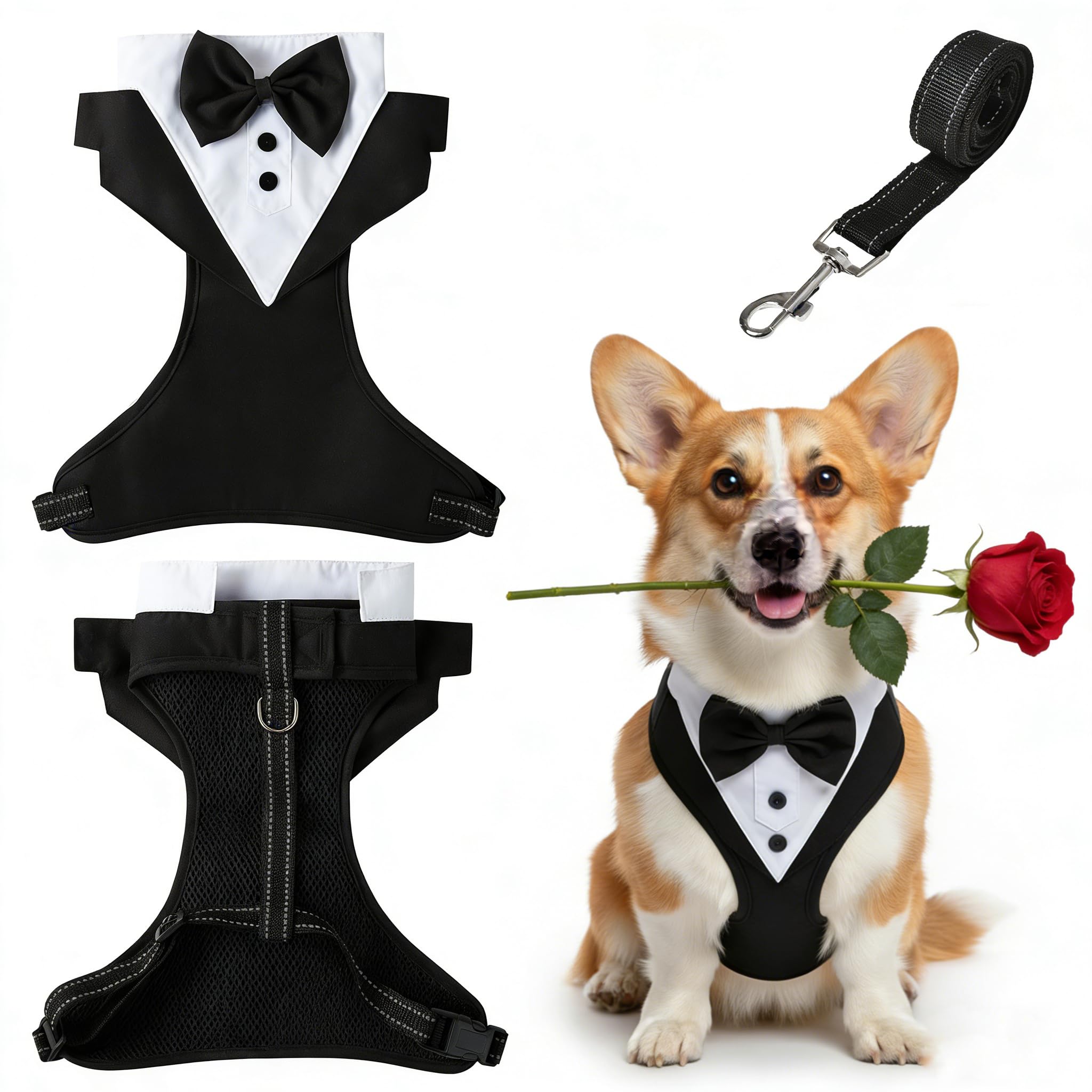 Dog Harness and Lead Set, Tuxedo Style Secure Step-in No Pull Padded Adjustable for Small Medium Dog Puppy Cat French Bulldog, Black L — image 1
