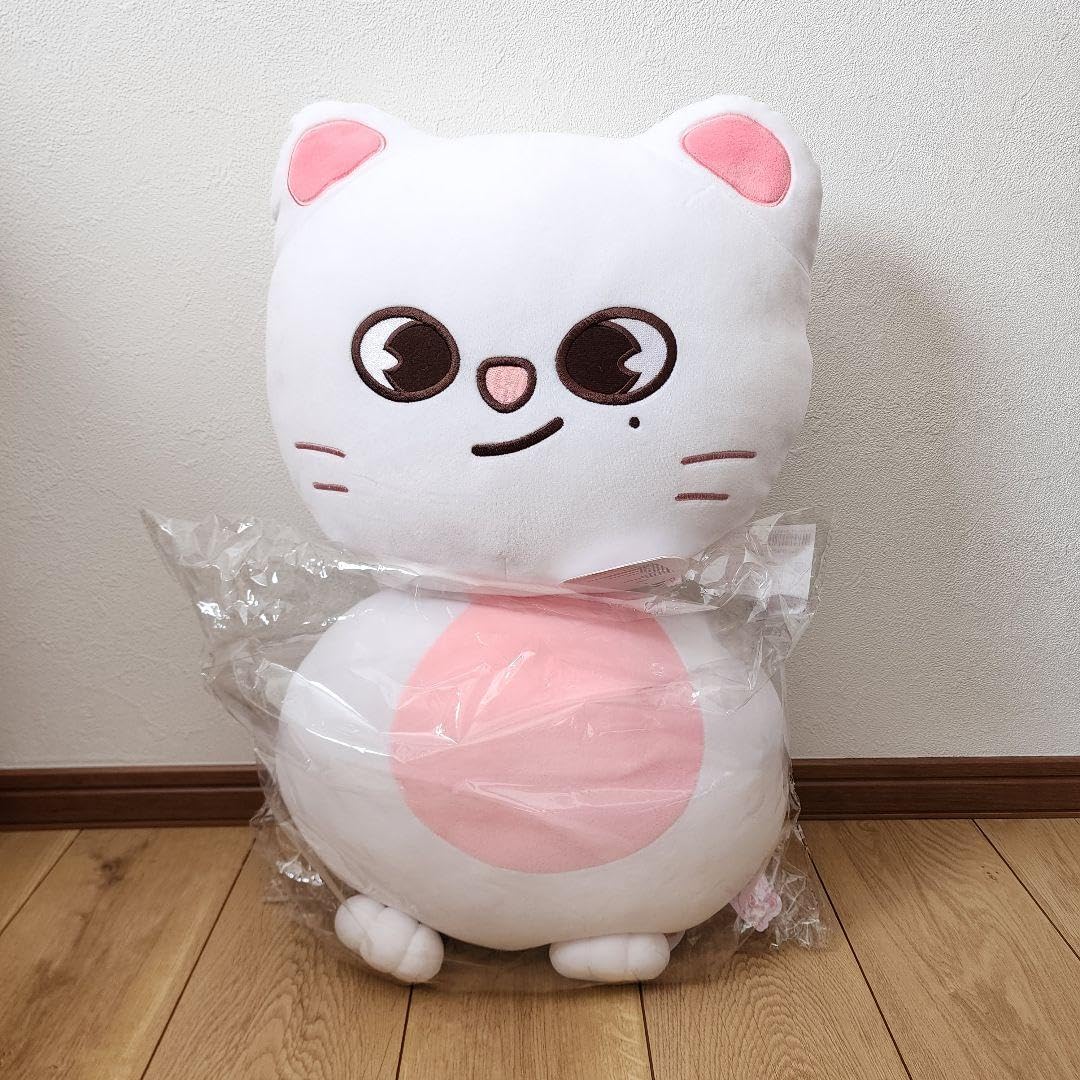 Amazon.co.jp: ジニレット クッション 2点セット : ホーム＆キッチン