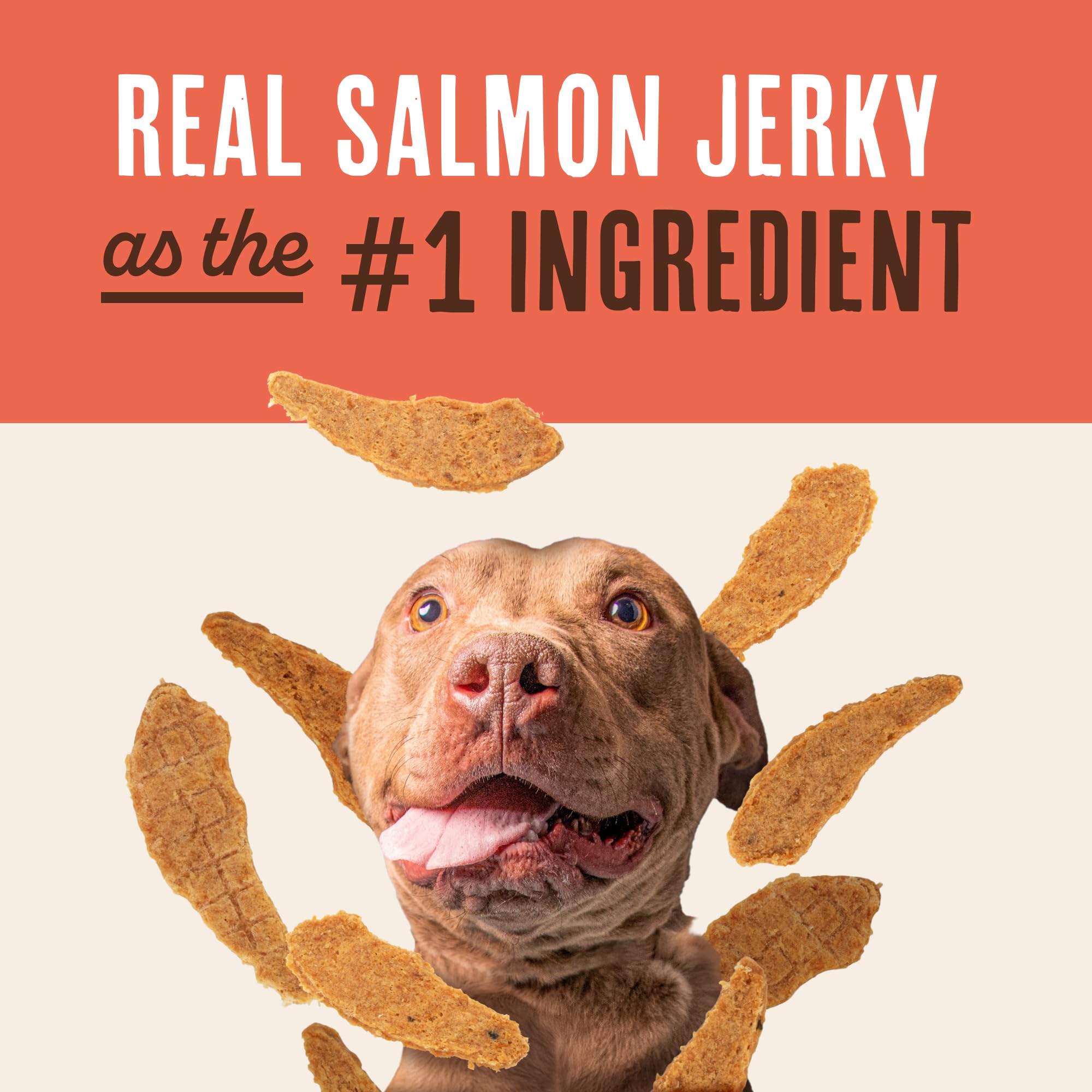 Waggin' Train Salmone Jerky Tenders per il sostegno della pelle e del pelo per cani, 340 ml, senza cereali, ricca di proteine