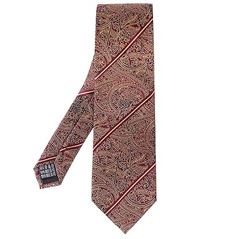 MANSPHIL Red Copper Pailsy Ties for Men, 100% Silk Neckties