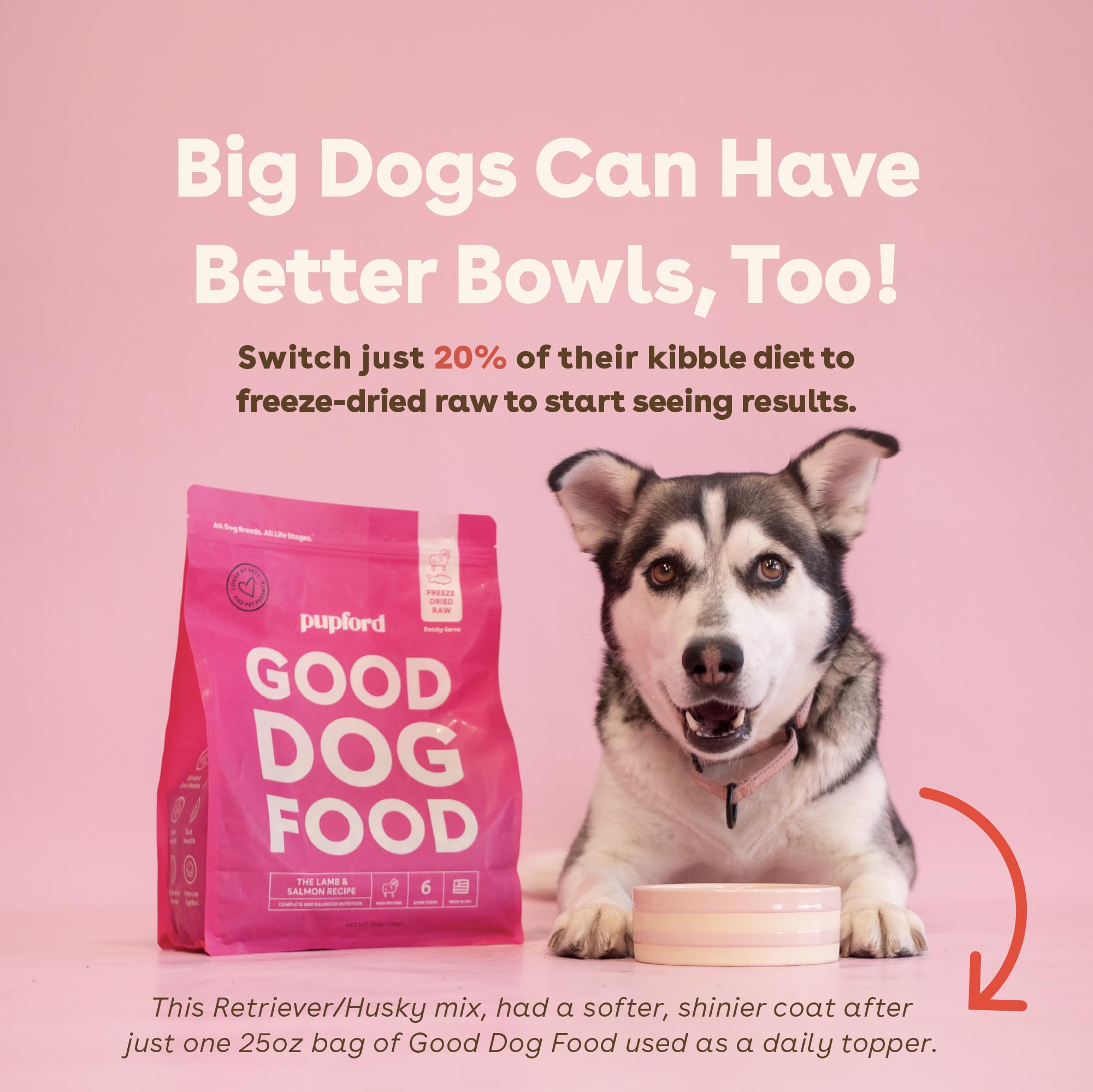 Pupford Freeze-Dried Raw Dog Food - High Protein Beef Recipe With Superfoods, 25 Oz