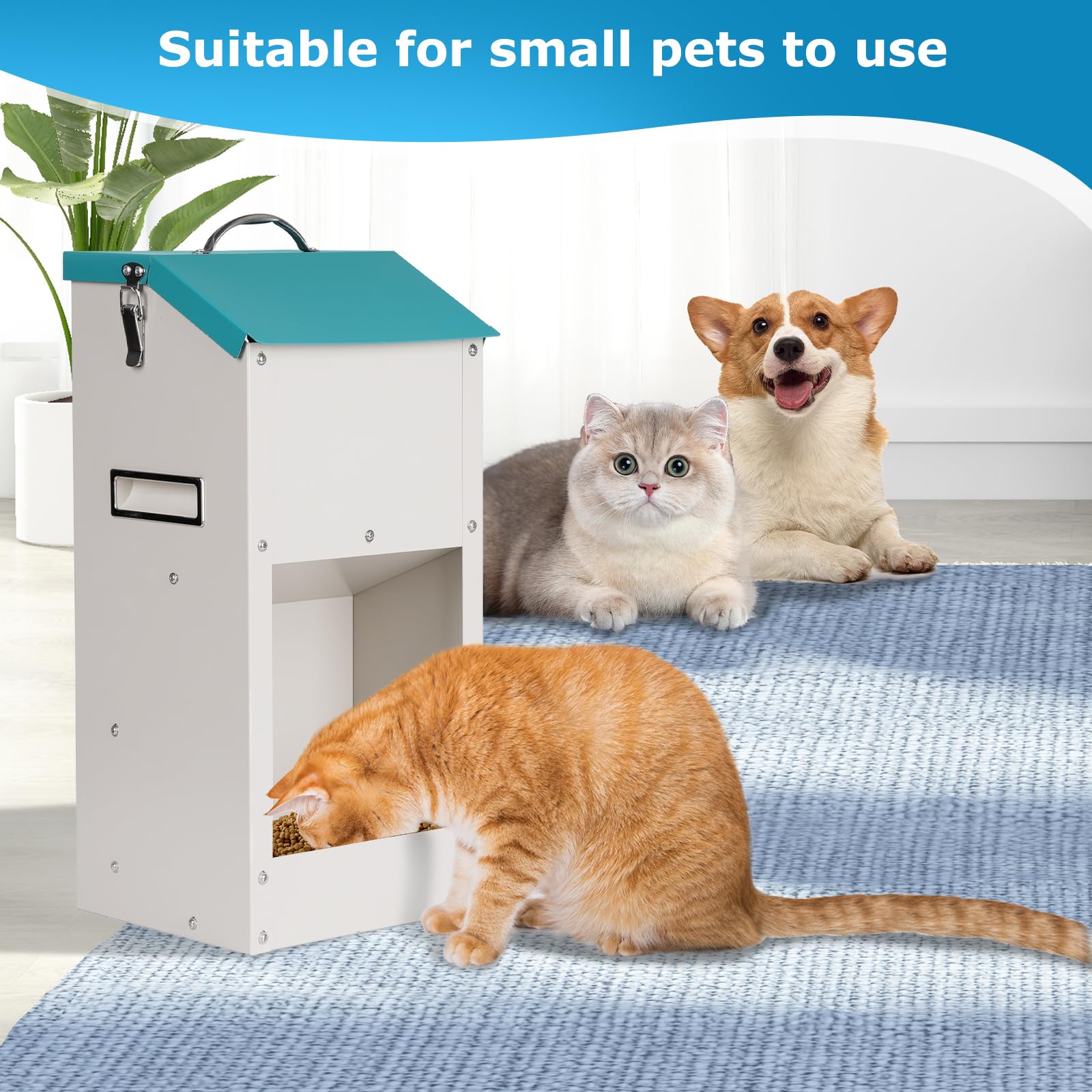Alimentatore automatico per cani da esterno 6 kg Alimentatore automatico per animali domestici Dispenser di cibo per gatti con stoccaggio Gravità Alimentatore per gatti Stazione di alimentazione per