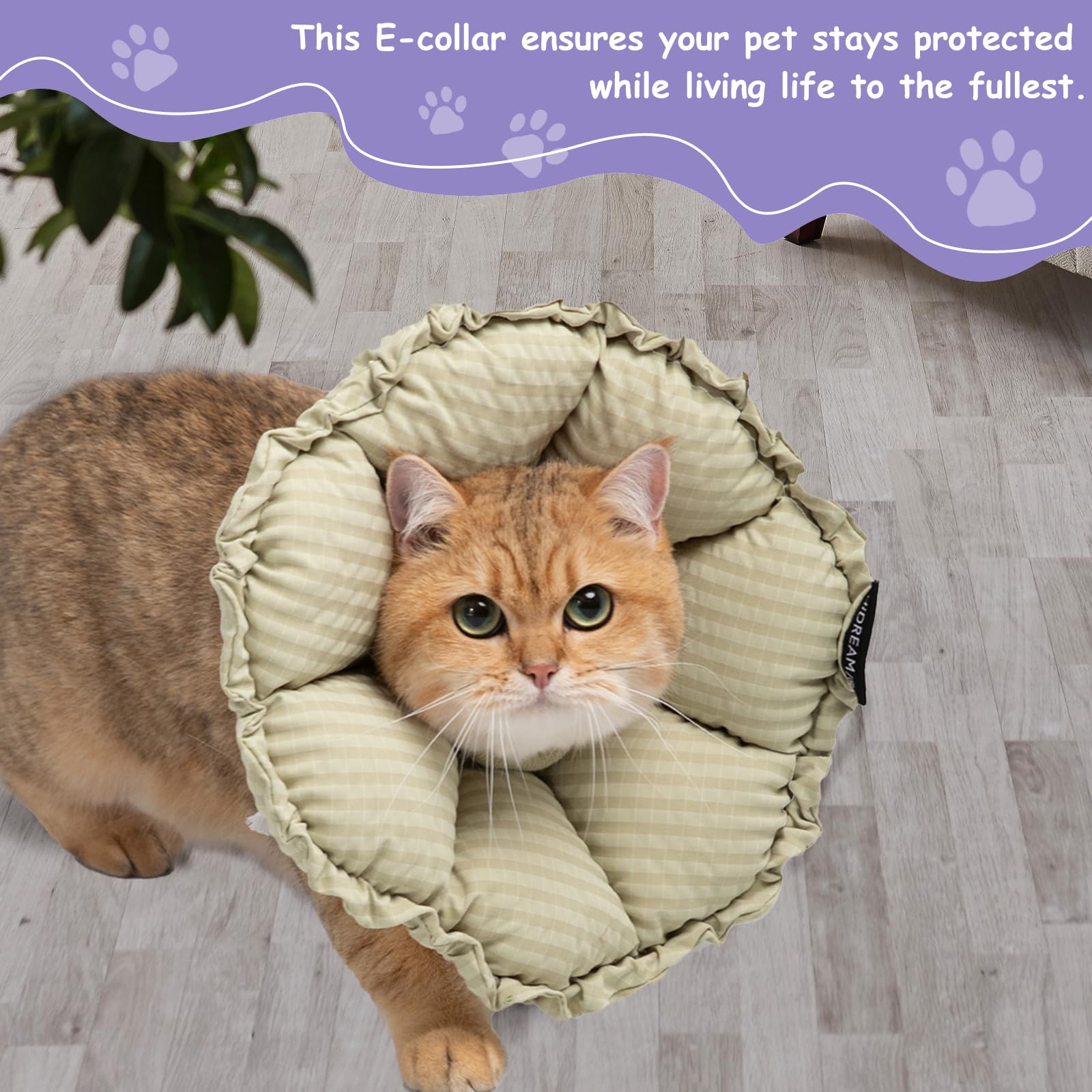 Collare a cono per gatti, impermeabile e regolabile, collare a forma di cono per gatti, cono di recupero per animali domestici per prevenire leccare dopo l'intervento chirurgico (verde, S)