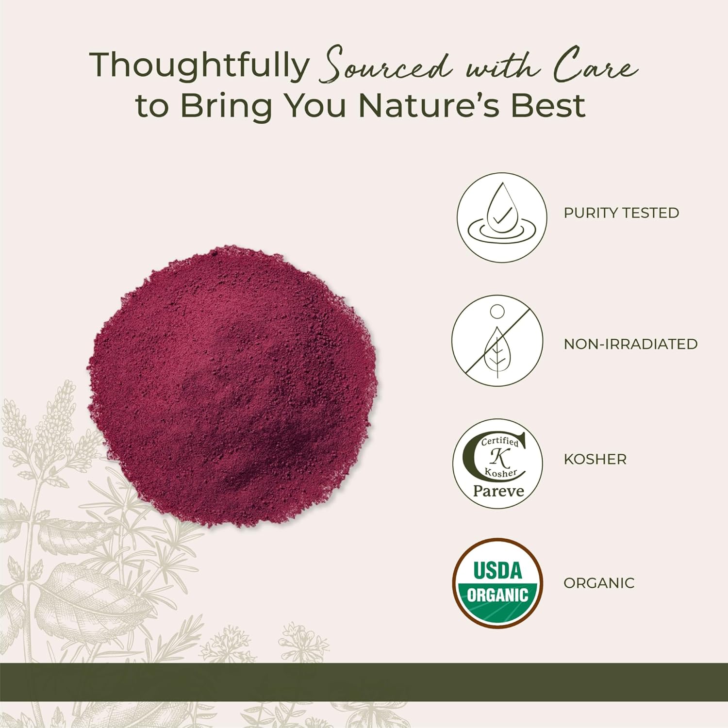 Starwest Botanicals Organic Beet Root Powder - Use for Juice, Smoothies, & Tea, Natural Ground Beet Root, Certified Kosher, Non-GMO - Bulk 2 lb Bag