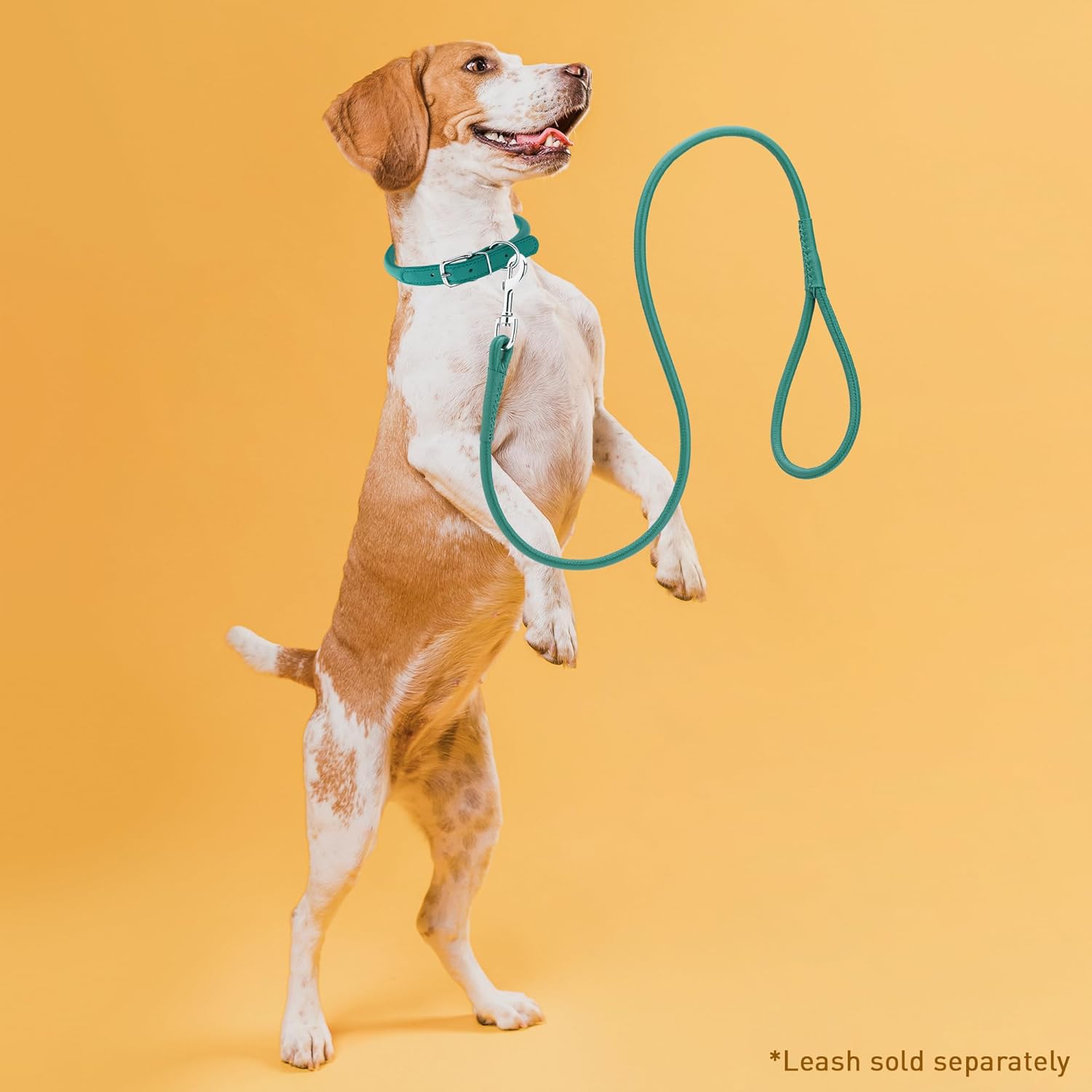 Dogline 1/2 by 19-22" Round Leather Collar, Large, Teal