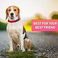 Vista 8 de Collar ajustable para perro con hebilla de bloqueo de seguridad, fabricado en Estados Unidos, collar de perro resistente al agua con panal