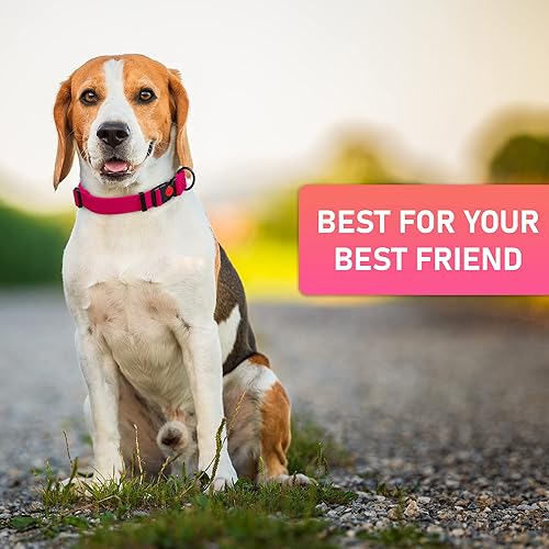 Miniatura 8 de Collar ajustable para perro con hebilla de bloqueo de seguridad, fabricado en Estados Unidos, collar de perro resistente al agua con panal para