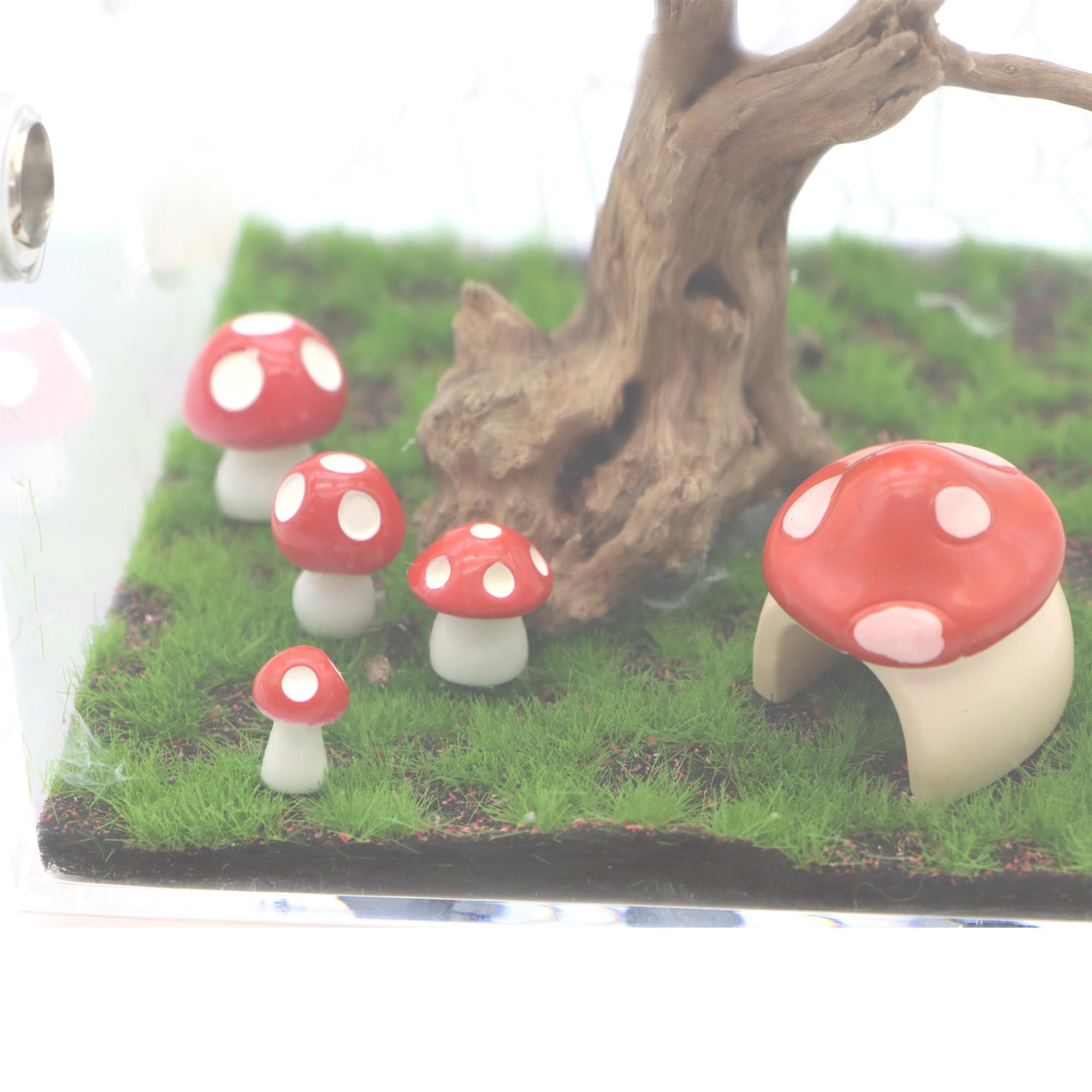 LUTQ 5 Pack Jumping Spider Habitat Decor with Mushroom Hide - Resin Spider Accessories and Enclosure Accessories