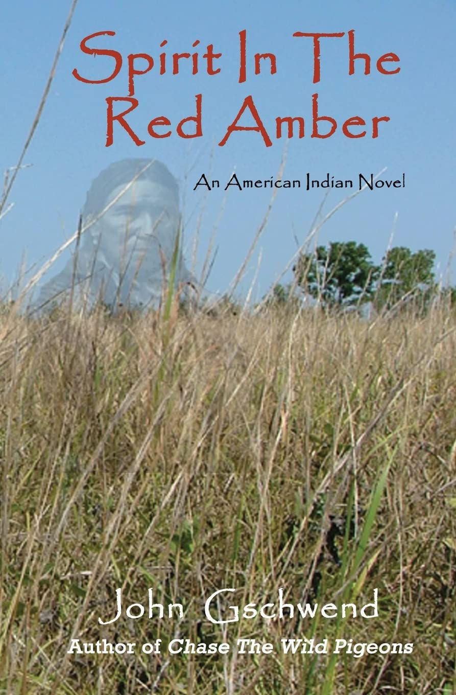 Spirit In The Red Amber: A novel of an American Indian