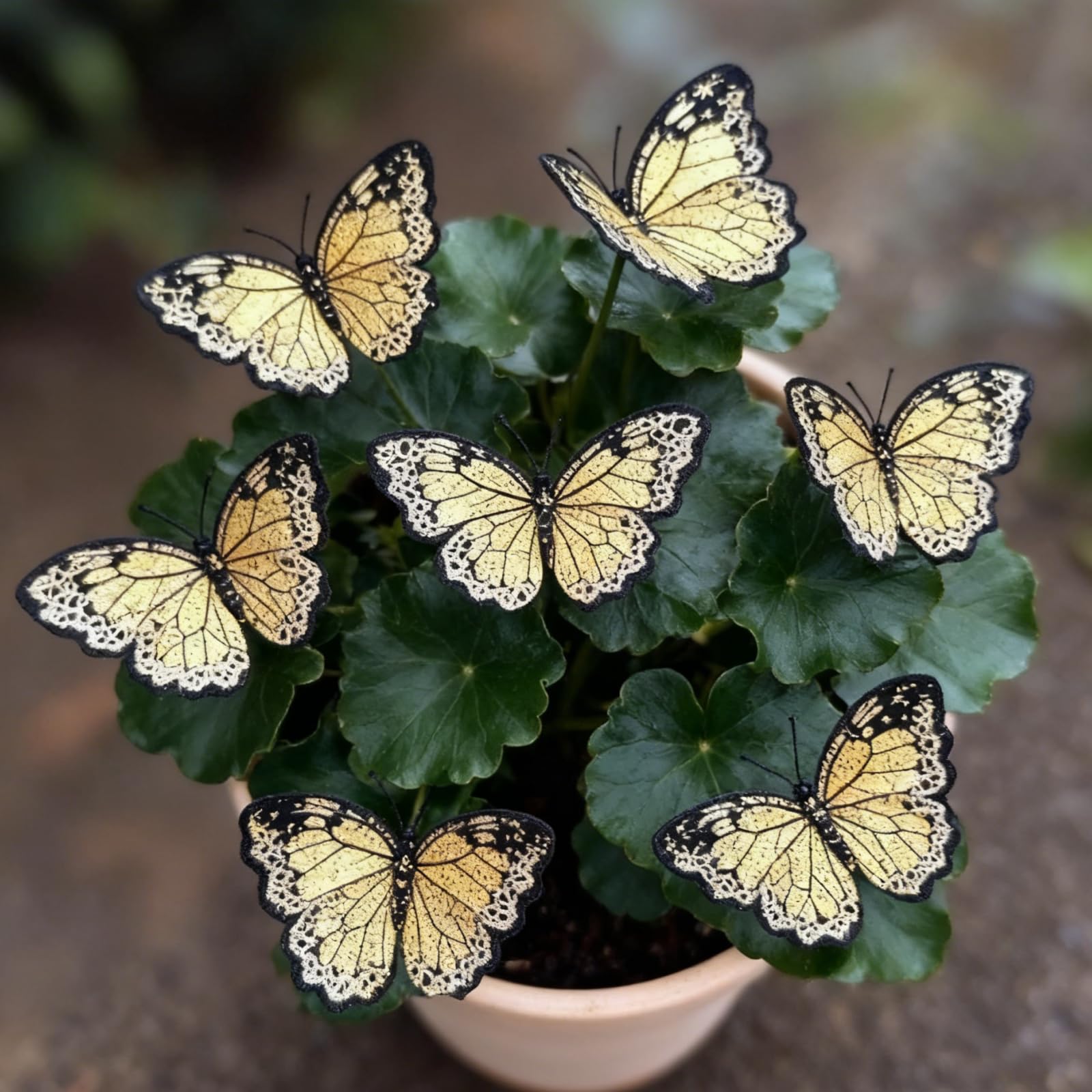 Hardy ＆ Shade-Tolerant Hosta Bulbs, Rare Perennial Butterfly Flowers, Professional Planting for Stunning Garden Displays-15 Bulbs-E