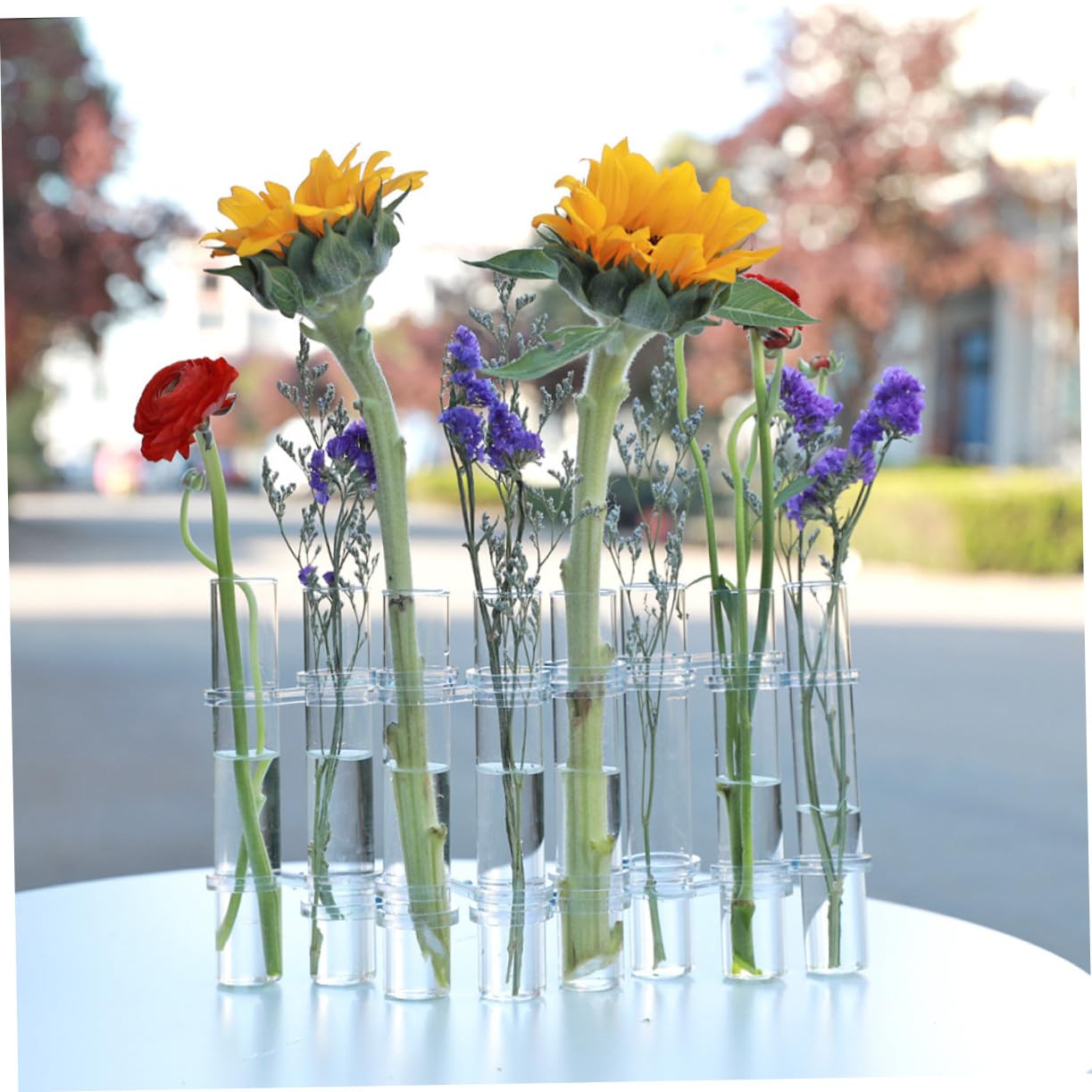 TOYANDONA Vase Hydroponique Forme de Tube à Essai Transparent Terrarium avec Support pour Plantes Intérieur Décoration de Bureau