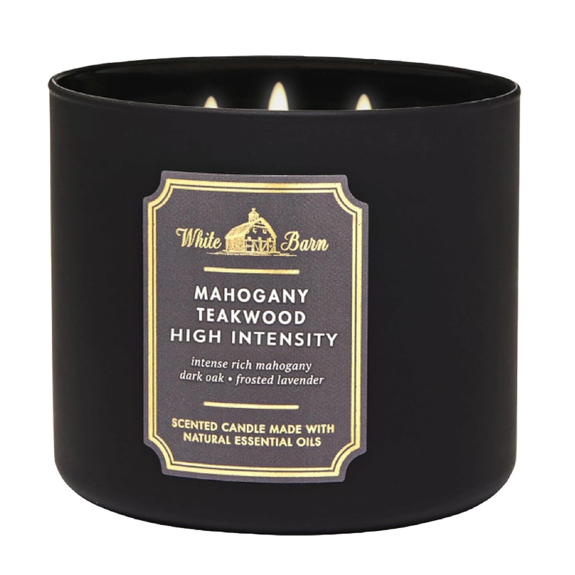 Socialskn Red Mahogany Teakwood High Intensity 3-Wick Candle 14.5 Oz Scented Candle