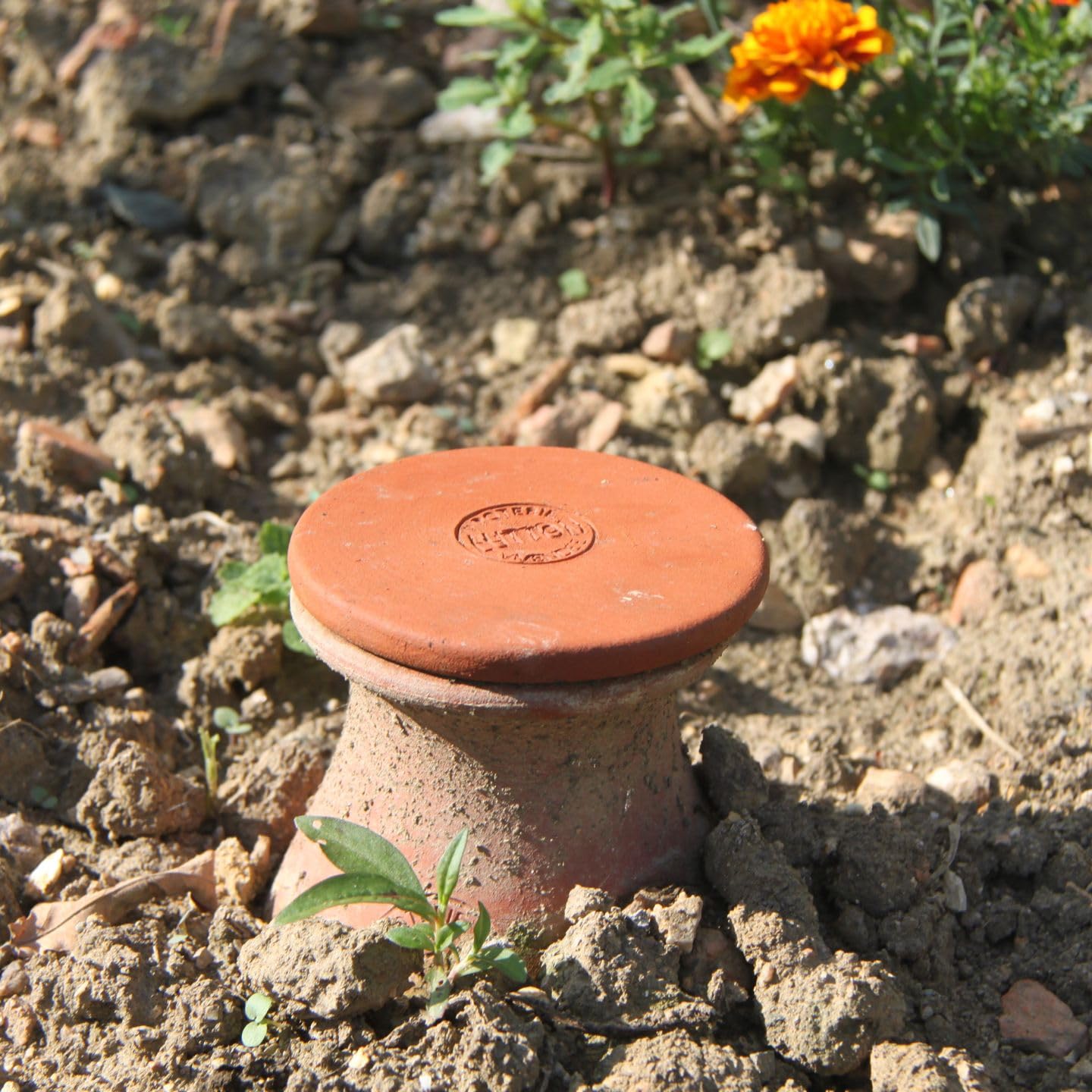 Ollas Lutton Olla Potager 4L – Arrosage Autonome Jardin – Système Écologique en Terre Cuite – Made in France – Jusqu’à 8 Jours d’Irrigation – Idéal pour Tomates, Salades et Aromates – avec Couvercle