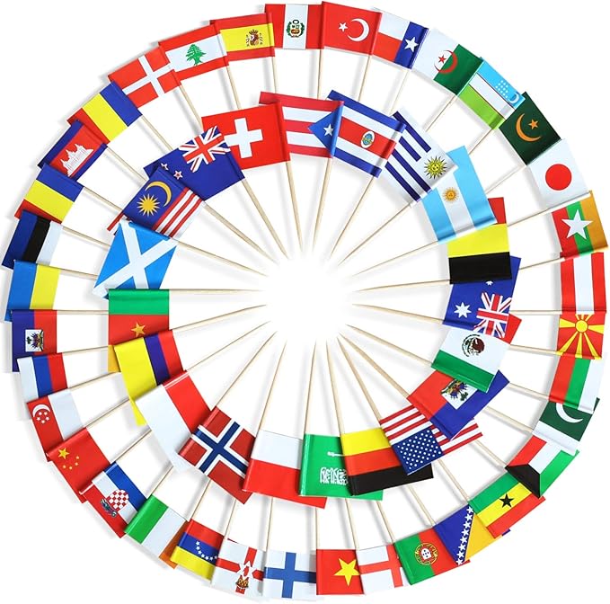 Anley Assorted 100 Different Countries Toothpick Flag - Vivid Double Sided Print & Solid Smooth Pick - Party Decoration Cocktail Fruit Stick Cupcakes Toppers(100 pcs)