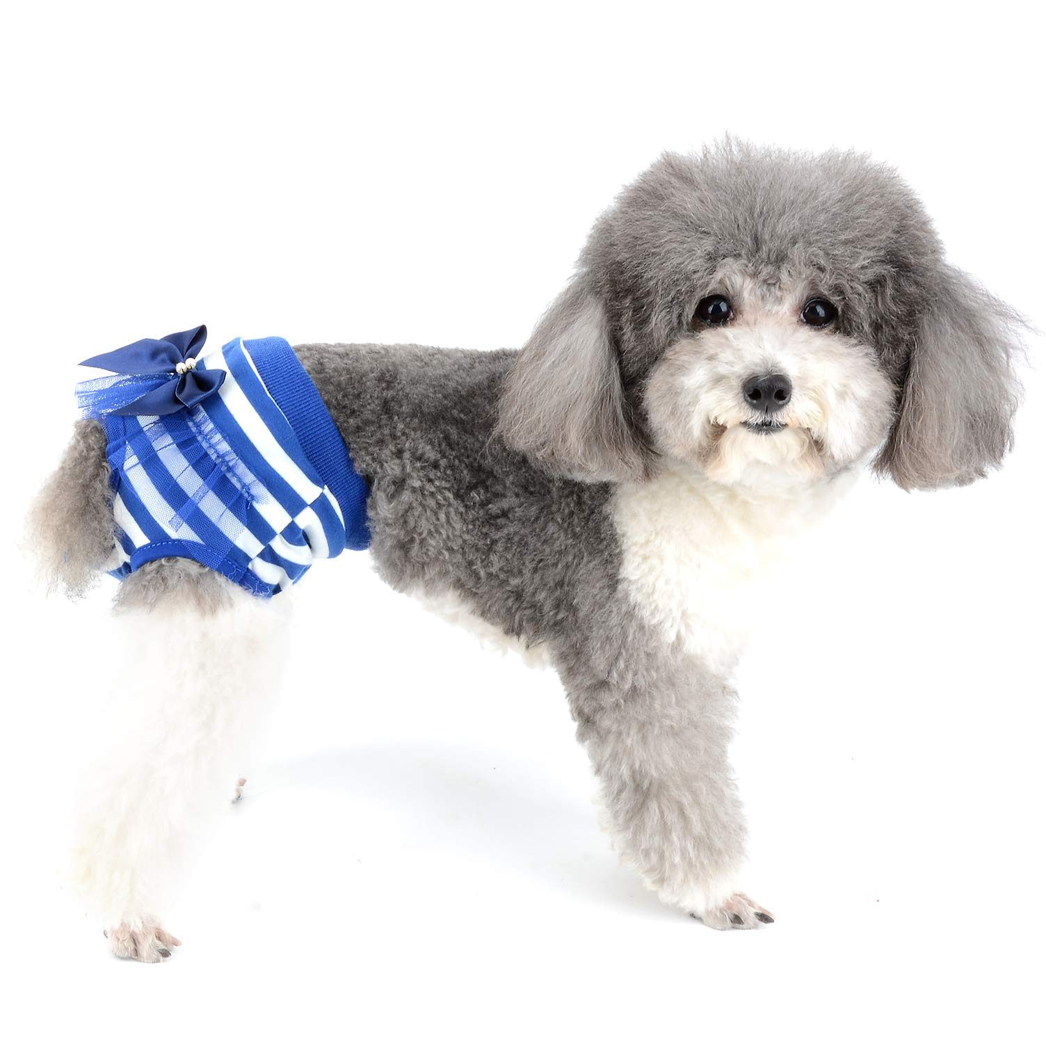 08*犬用 オムツ サニタリー ショーツ パンツ 洗える 再利用可能 08*犬用 オムツ サニタリー ショーツ パンツ 洗える 再利用可能