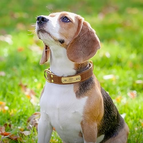 Miniatura 26 de Collar de perro de cuero genuino personalizado con placa de nombre grabada, duradero y elegante collar de perro personalizado para perros pequeños