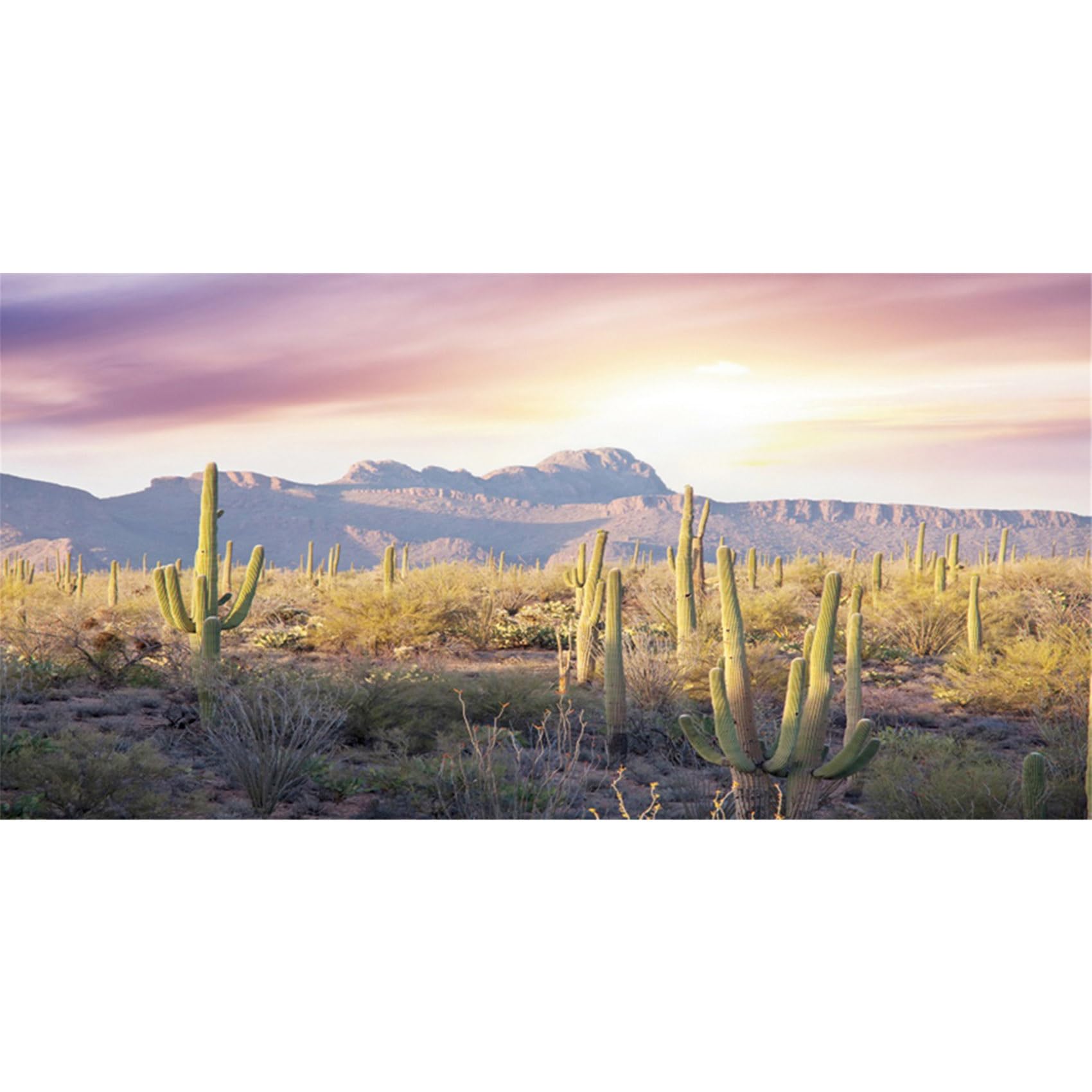 MIRRORANG 76x46cm Reptile Habitat Background Blue Sky Oasis Mountain Cactus Sun and Desert Terrarium Background