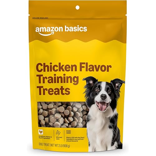 Amazon Basics Chicken Flavor Training Treats for Dogs, 2 lb. Bag (32 oz) (Previously Wag)