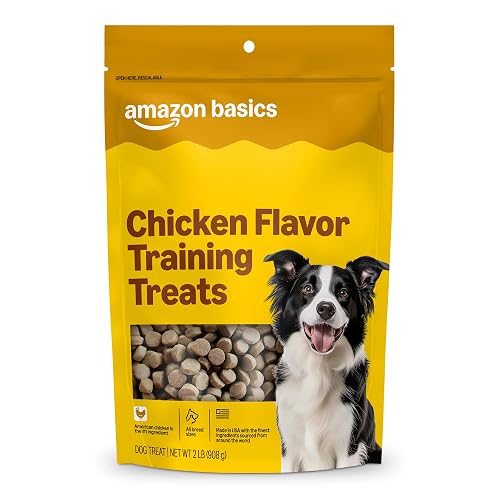 Amazon Basics Chicken Flavor Training Treats for Dogs, 2 lb. Bag (32 oz) (Previously Wag) - Chicken - 2 Pound (Pack of 1)